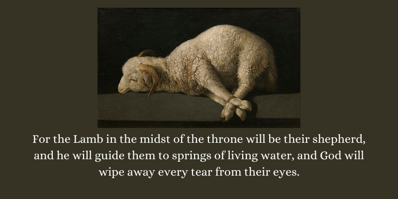 Famous painting  of a lamb bound for slaughter by zurbaran with  the verse from Revelation,  
For the Lamb in the midst of the throne will be their shepherd, and he will guide them to springs of living water, and God will wipe away every tear from their eyes.
