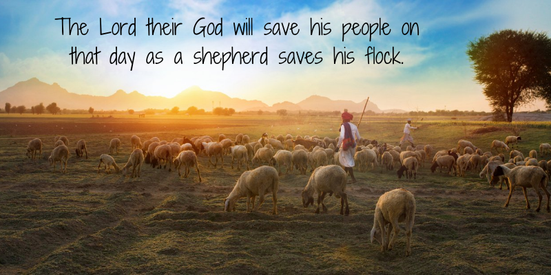 Tribal man in colorful clothing herding a flock of sheep in a field with the Bible verse, The Lord their God will save his people on that day as a shepherd saves his flock.