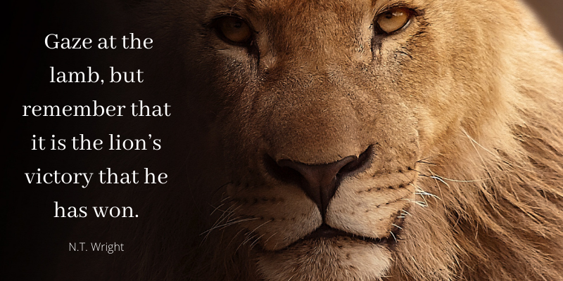 Image of lion's head up close, with quote by Tom Wright, Gaze at the lamb, but remember that it is the lion's victory that he has won.