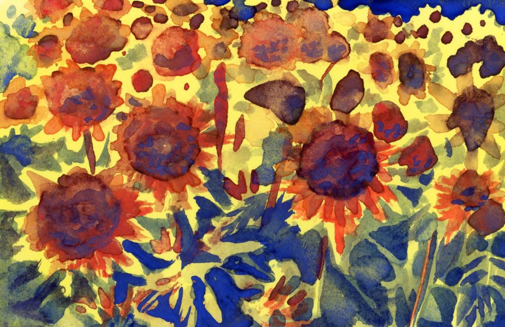 Sunflowers representing hope for Ukraine