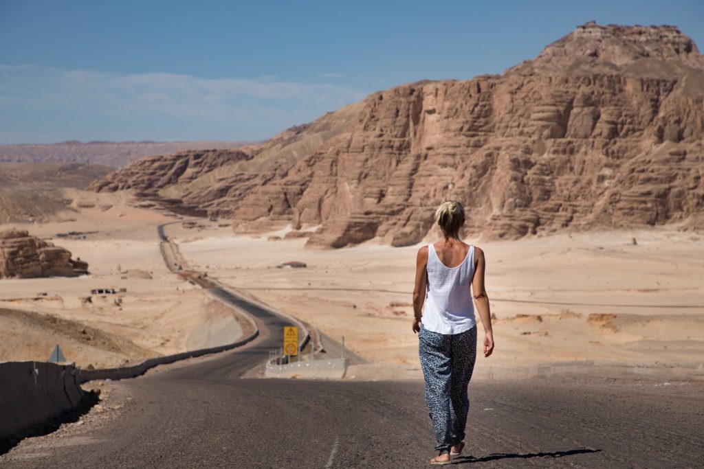 Journey in the desert, the wilderness