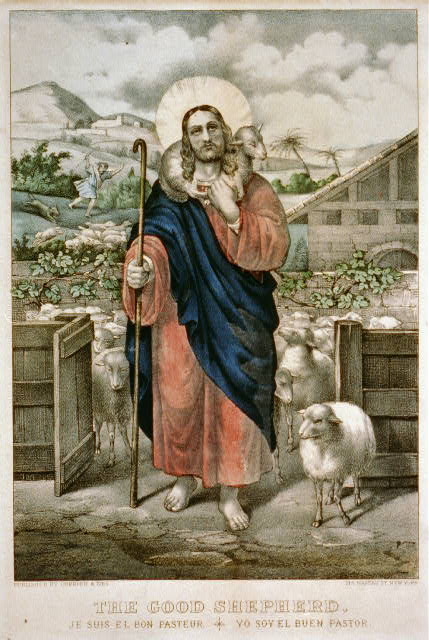 a picture of Jesus, our good shepherd, our access