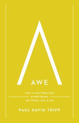 The cover of the book, awe: why it matters for everything we think, say & do.