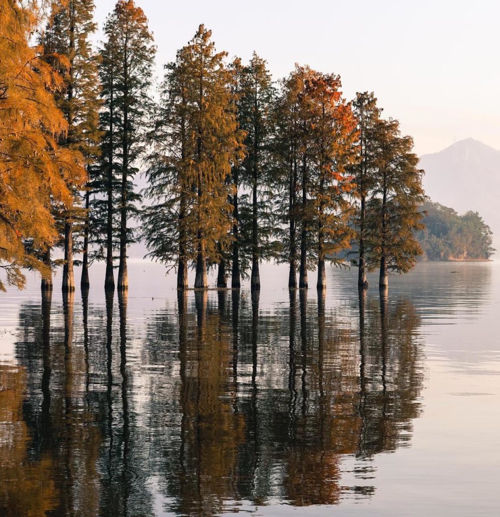 Trees, fall colors, reflection in a lake