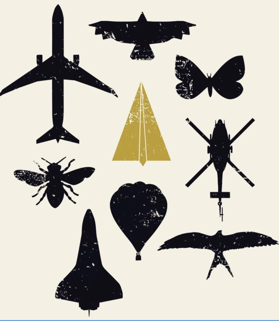 A picture of 8 black silhouettes of vehicles or creatures that fly with one silhouette (greenish) that is a paper airplane - inviting us to into a prayer about our lives.