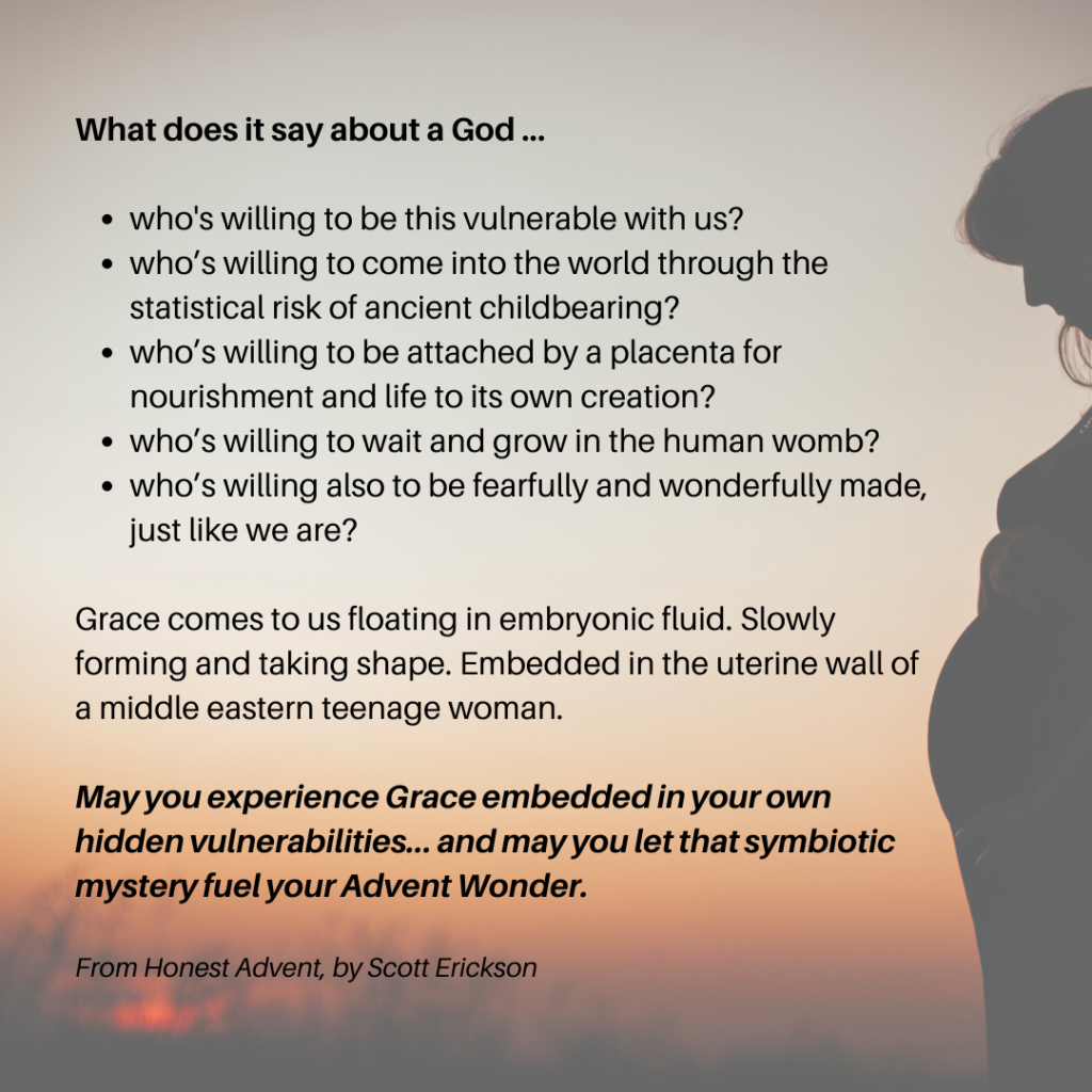 Quote from Honest Advent by Scott Erickson about the vulnerability of our God - that He would risk labor and delivery in our human world.